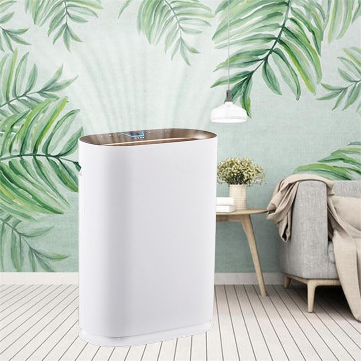 Air Cleaner 2021 China OEM Air Purifier