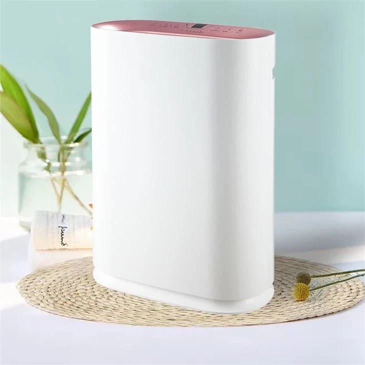 Air Cleaner 2021 China OEM Air Purifier