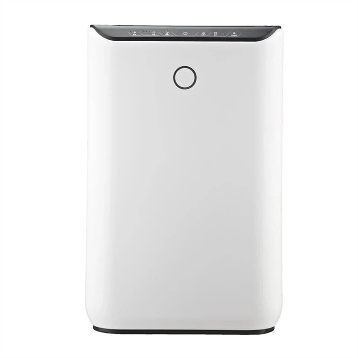 Professional Commercial Air Purifier